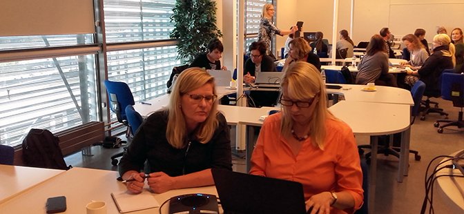 Digi-JouJou – Flexible Swedish and Finnish Language Learning for Future Working Life Needs