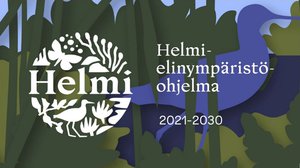 Helmi-ohjelma_logo.jpg